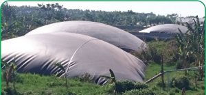  Hầm biogas phủ bạt HPDE